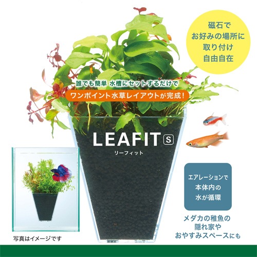 �ڿ����ʡ� �ǣţ� �꡼�ե��å� �� ���� �쥤������ ����� �٥� ������