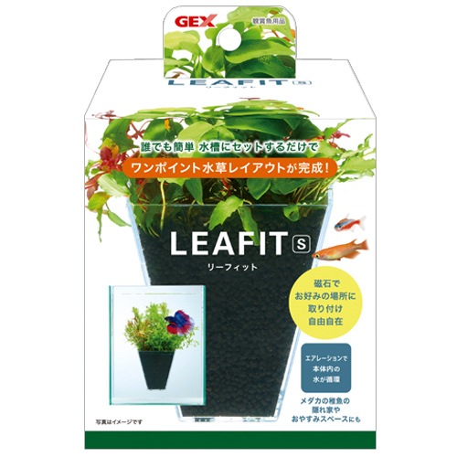 �ڿ����ʡ� �ǣţ� �꡼�ե��å� �� ���� �쥤������ ����� �٥� ������