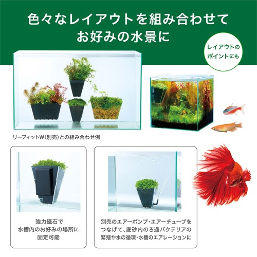 �ڿ����ʡ� �ǣţ� �꡼�ե��å� �� ���� �쥤������ ����� �٥� ������