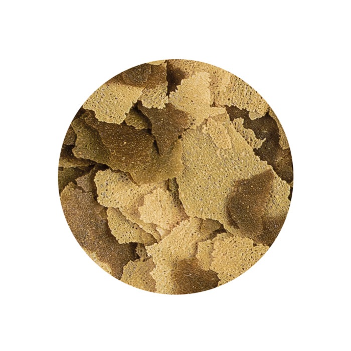 �ƥȥ� �ƥȥ�ե��� 90g ����Τ��� �ե졼�������� �ա���