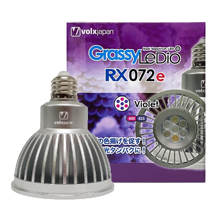 ܥ륯ѥ åǥ RX072e Хå  ܥ륯ѥ ǥå SX  Υå  LED饤