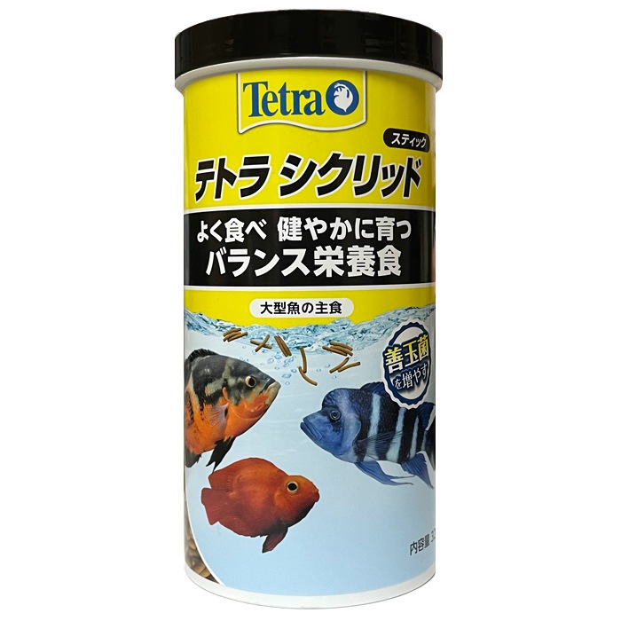 �ƥȥ� ������åɥ��ƥ��å� �������� Ǯ�ӵ� ��