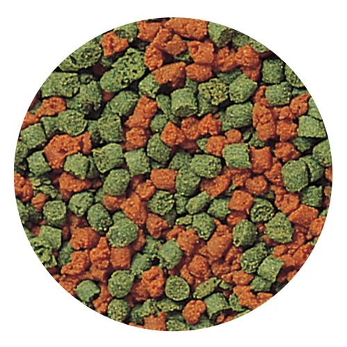 �ƥȥ� �ޥ�� ����˥塼�� 110g ����� ����