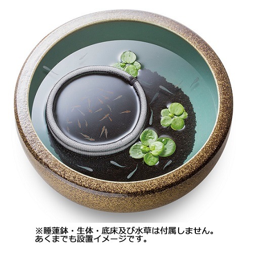 ���ɡ� ��������⤯�ͥåȹ� �� ��Υ���� �յ�