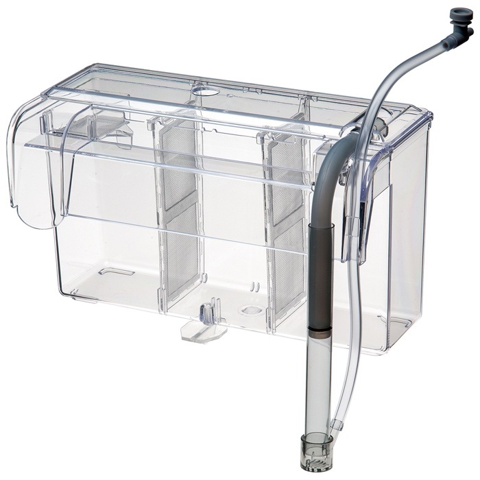 ɡ ƥ饤ȥ ݼ¿Ūܥå ΥȢ  վ޵