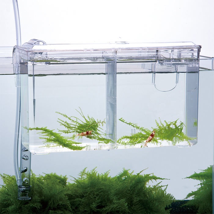 ɡ ƥ饤ȥ ݼ¿Ūܥå ΥȢ  վ޵