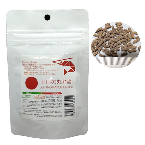 ���ӥ��֥꡼�� �ţ����� �£���� �����δ����� ������ ������� ���� ����