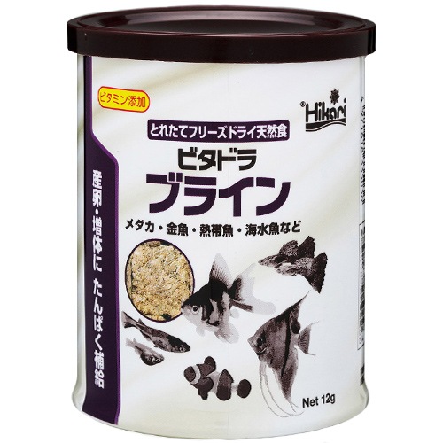 ���硼��� �ӥ��ɥ� �֥饤�� ������ ŷ������ �ե꡼���ɥ饤 �� ����� ��� Ǯ�ӵ� �����
