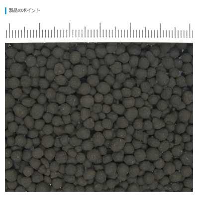 �ڣ������åȡۿ��ѥå����� �ʣգ� �ץ���ʥ����� �Ρ��ޥ� �� ���� Ǯ�ӵ��� �쾲