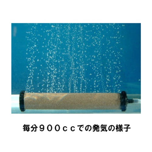 ���֤��������ȡ��� ����ߥå��������ȡ��� �����աߣ�������������