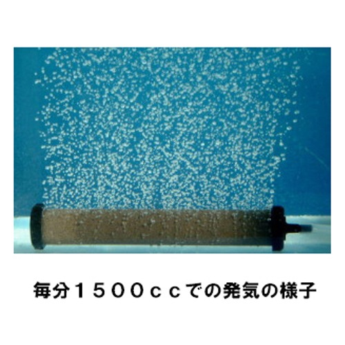 ���֤��������ȡ��� ����ߥå��������ȡ��� �����աߣ�������������