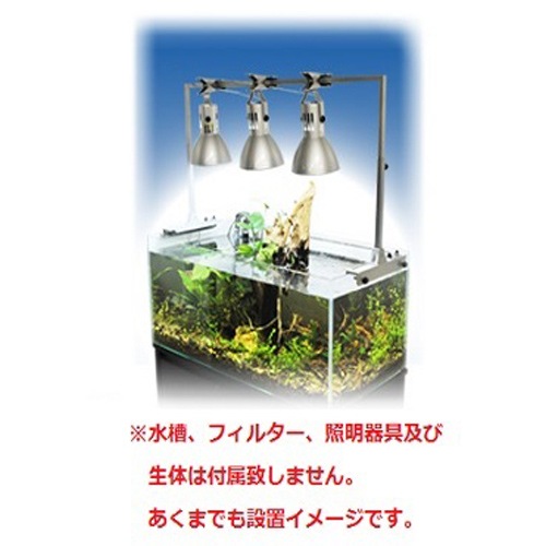 �ڣӣХ������ ���ߥϥ� ���������饤�� BS ������ ���������