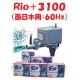 ���ߥϥ� Rio+3100 ����ݥ�� (��������:60Hz) �ꥪ�ץ饹