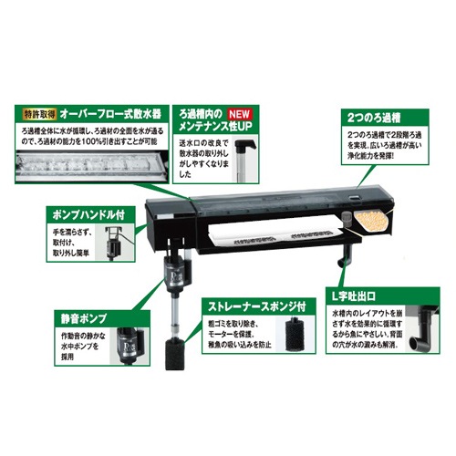 �ǣţ� �ǥ奢�륯�꡼�� ������ �ģ�-������ ø�塦����ξ�� 60cm������