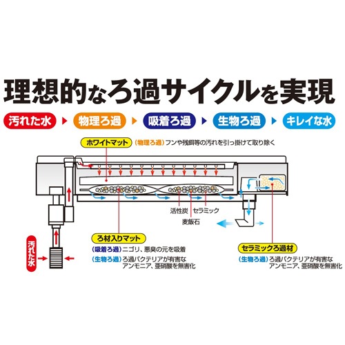 �ǣţ� �ǥ奢�륯�꡼�� ������ �ģ�-������ ø�塦����ξ�� 60cm������