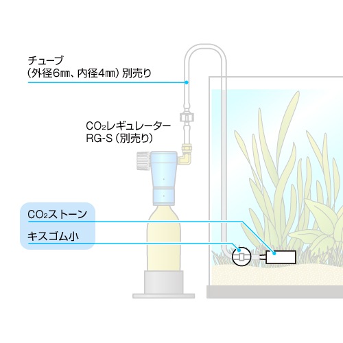 ���ɡ� �ãϣ� ���ȡ��� ����