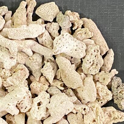 JUN  �˾奵�� NO.15 ������ 5kg �쾲 ���� ���󥴺�