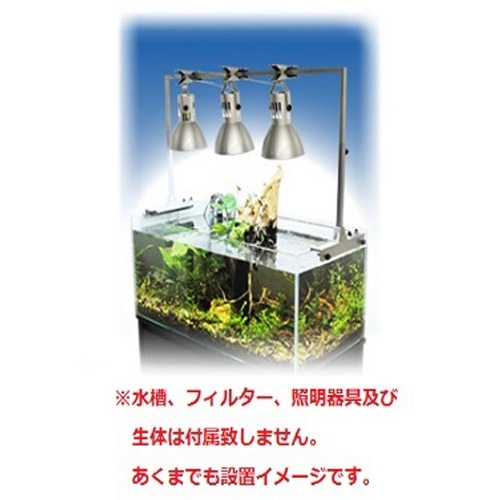 �ڣӣХ������ ���ߥϥ� ���������饤�� BS ������ ���������