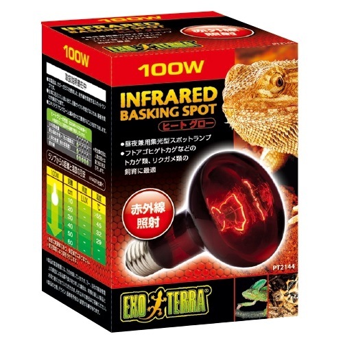 ǣţ ƥ ҡȥ  ֳȼͥݥåȥ PT2144  