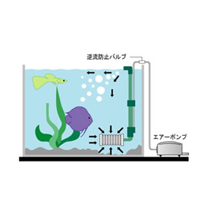 �ƥȥ� �֥���� �ե��륿�� Ŭ����塧60cm�ʲ� ���ݥ󥸥ե��륿��