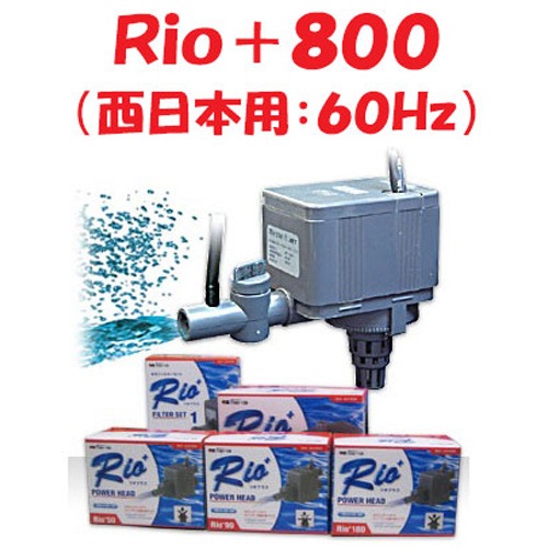 カミハタ Rio+800 (西日本用:60Hz) リオプラス 水中ポンプ 水槽用