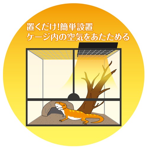 ǣţ ƥ ҡƥ󥰥ȥåף ࡦξѾ֥ҡ