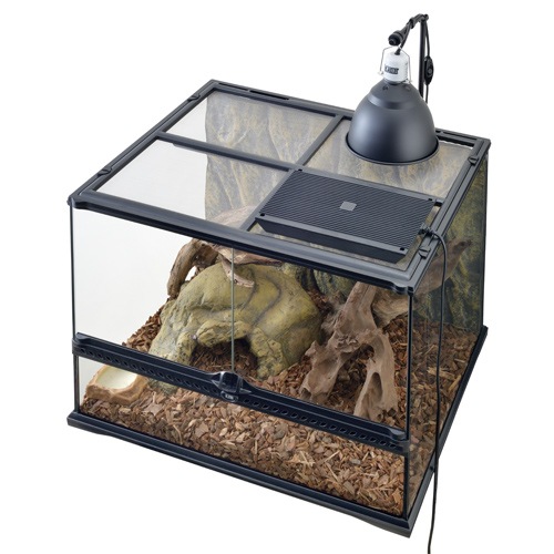 ǣţ ƥ ҡƥ󥰥ȥåף ࡦξѾ֥ҡ