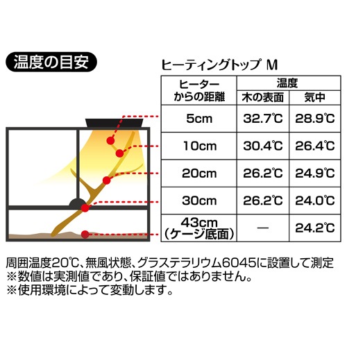 ǣţ ƥ ҡƥ󥰥ȥåף ࡦξѾ֥ҡ