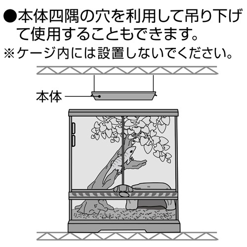 ǣţ ƥ ҡƥ󥰥ȥåף ࡦξѾ֥ҡ