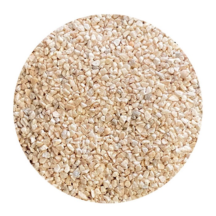 5ޥåȡJUN  ˾奵 NO.1  5kg 쾲  󥴺 ξʤ13ޤǤΤʸ¨ȯȤʤޤ