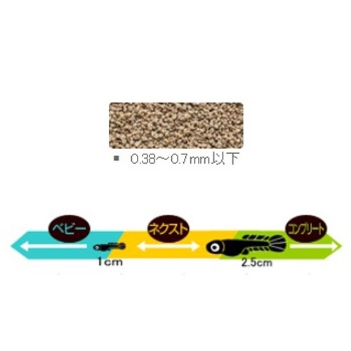 ���硼��� ��������� �ͥ����� (��������) ���� �������