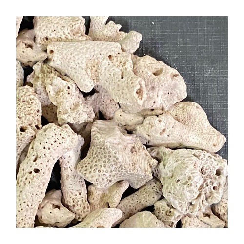 JUN  �˾奵�� NO.25 ������ 5kg �쾲 ���� ���󥴺�