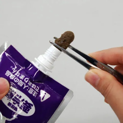 �ڣ������åȡ� �� ���硼��� �쥪�ѥ��� ������ �������� Ⱦ�ͤ꥿���� ��������α��ܿ� �����ա��� ��