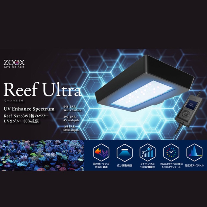 ZOOX �꡼�ե���ȥ� �� �ϥ󥮥󥰥��å� �Υ��å� 60~90cm������ ������� �ߤ겼�� LED���� ����� ���� �Ѿ޵���