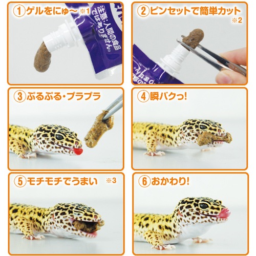 �ڹ񻺡� ���硼��� �쥪�ѥ��� 60g Ⱦ�ͤ꥿���� ��������α��ܿ� �����ա��� ��