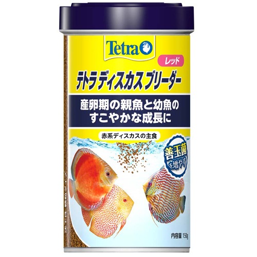 �ƥȥ� �ǥ������� �֥꡼���� ��å� �������� ����