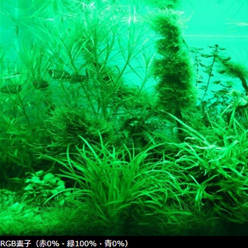Chihiros LED C2 RGB Ǯӵ  ꥦ LED  ܥå  ҥ