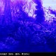 Chihiros LED C2 RGB Ǯӵ  ꥦ LED  ܥå  ҥ
