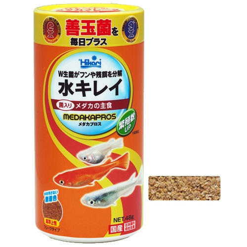 ���硼��� ������ץ��� ������ ����