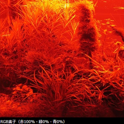 Chihiros LED WRGB2 45 �֥�å� SERIES Ǯ�ӵ� ���� �������ꥦ�� LED ���� ��ܥå� ���