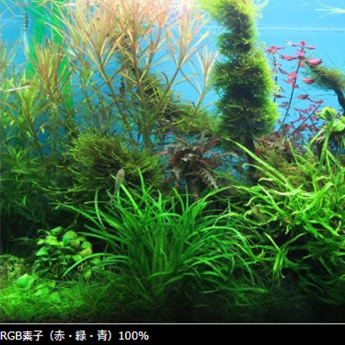 Chihiros LED WRGB2 45 �֥�å� SERIES Ǯ�ӵ� ���� �������ꥦ�� LED ���� ��ܥå� ���