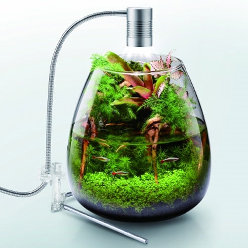 �ǣţ� ���ꥢ�̣ţ� �꡼�ե����� �̣ţ��� �ǣ̣ϣ� �������� ����ѥ��ȿ��� ����