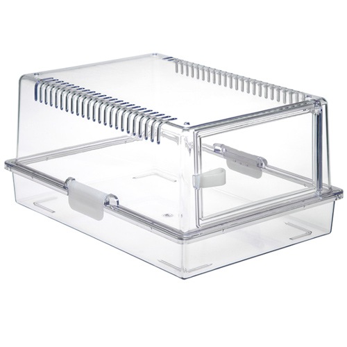 ���ɡ� ��ץƥ����� 365 �������饱���� RX-472