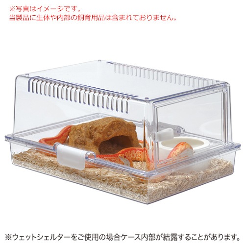 ���ɡ� ��ץƥ����� 365 �������饱���� RX-472