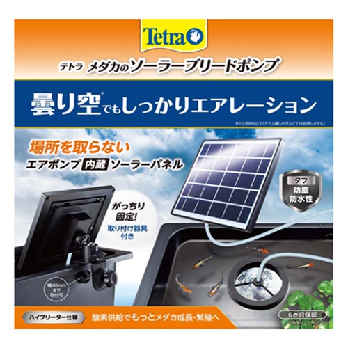 �ƥȥ� ������Υ����顼�֥꡼�ɥݥ�� �������ȡ��� ���������� �����ݥ�� �����顼�ѥͥ� ����� �˿� ø�� �ɿ� �ɿ��� �����졼����� �ϥ��֥꡼��������