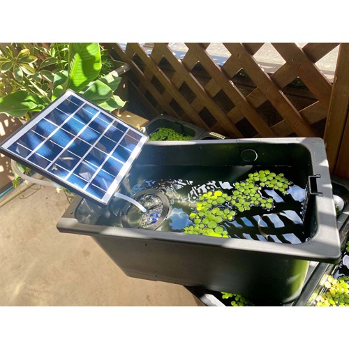 �ƥȥ� ������Υ����顼�֥꡼�ɥݥ�� �������ȡ��� ���������� �����ݥ�� �����顼�ѥͥ� ����� �˿� ø�� �ɿ� �ɿ��� �����졼����� �ϥ��֥꡼��������