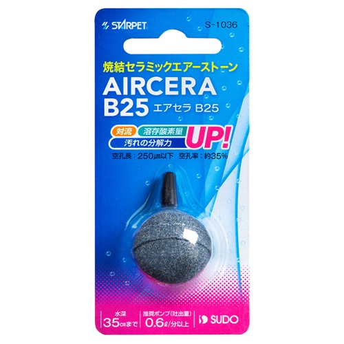 ���ɡ� �������� ��25 ����ߥå������ݥ��ȡ��� ������