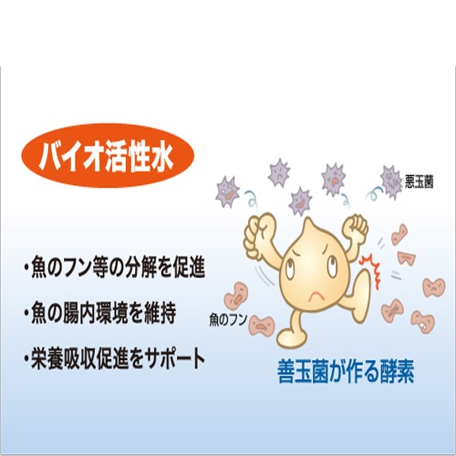 ڿʡ ȥ֥ Х󥹥 ܿ 󥮥 340ml   Ĵ
