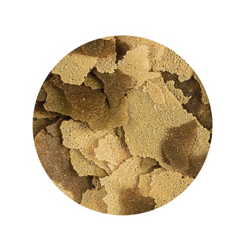 �ƥȥ� �ƥȥ�ե��� 50g ����Τ��� �ե졼�������� �ա���