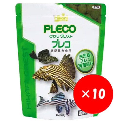 ��10�ޥ��åȡ� ���硼��� �Ҥ��� ���쥹�� �ץ쥳 �������� ���� �����𿩵��� ������ 10�ޥ��å�